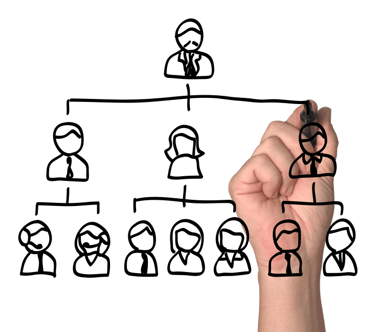 image of a hand drawing a company organizational chart